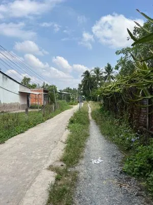 Bán đất thổ cư xã mỹ hương – 142,6m², giá chỉ 320 triệu