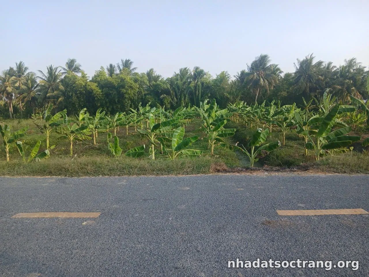 Bán đất huyện lộ 87- 1150m² ngang 20.5m giá 922 triệu tại Xã Kế Sách